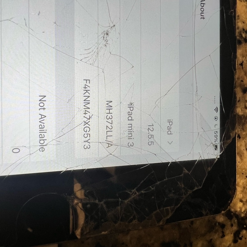 iPad mini 3 - Wi-Fi
64 GB - Silver - Unlocked Screen Broken